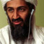 Osama ben D1LDO