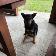 adats_21 - steam id 76561199825550291