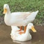 Mak7chik