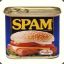 Canned Spam