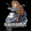 想不出账户名