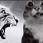 cattsuu