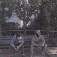 布洛特亨德尔缓释胶囊