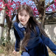 夏门没有茉莉花