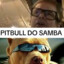 PITBULL DO SAMBA