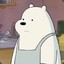 icebear_CHL