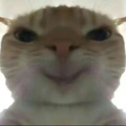 一只普通的修喵