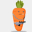 Carrot