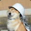ein