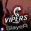 VipeRs Slayer