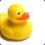 lil duck