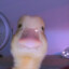 𝖒𝖆𝖗𝖌𝖚𝖈