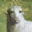 God Of Sheep