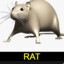 Pat