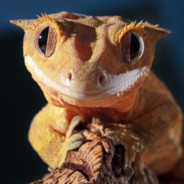 LegendarnyZamykaczTabeli