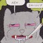 Walt_Raccoon_