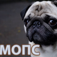 Я МОПС  - МНЕ ПОХУЙ