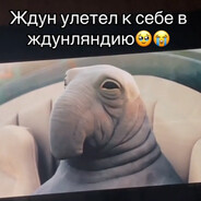 ЖДУН УЛЕТЕЛ