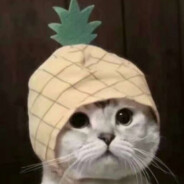 玩家头像