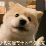 如果妳聼見我的歌