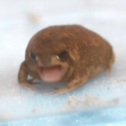 Gibgnik avatar