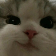 她屠一座城，我掉一滴泪