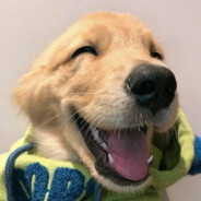 波多不野何解一