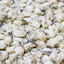thirty two oysters