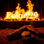 Fokus29