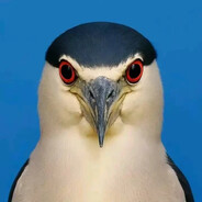 师傅你是做什么的