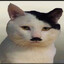 Adulf Kitler