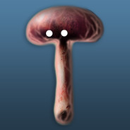 Dr.Shroom