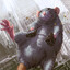 ratatouille