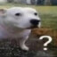 yjkwon