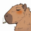 capybara smokin a blunt