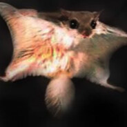 Ancal1gon死神 - steam id 76561198970512729