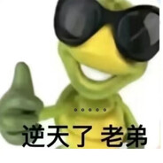 ————下等马分界线