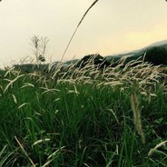 只要思想不滑坡