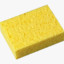 Sponge