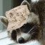 USMC Trash Panda