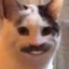 Hairy barry