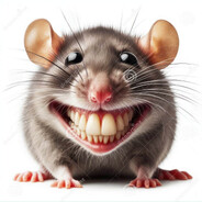 IT ATAR - steam id 76561199791103204