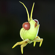 KSG Aphid