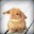 PeterCottonTail