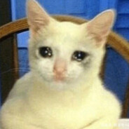 你的麻球我的头