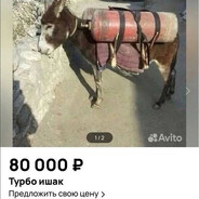 турбо ишак