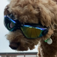 Astrix RUSTCHANCE.COM