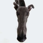 蔡蔡蔡蔡蔡蔡蔡