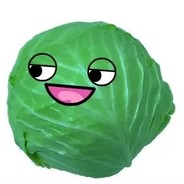 Cabbage