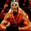 Hollywood Hulk Hogan